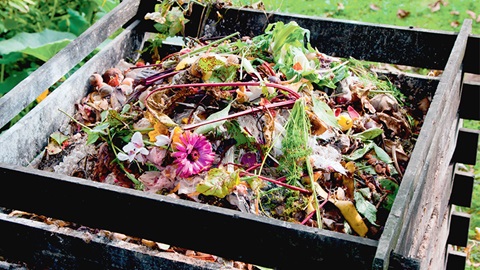 Compost organisch afval